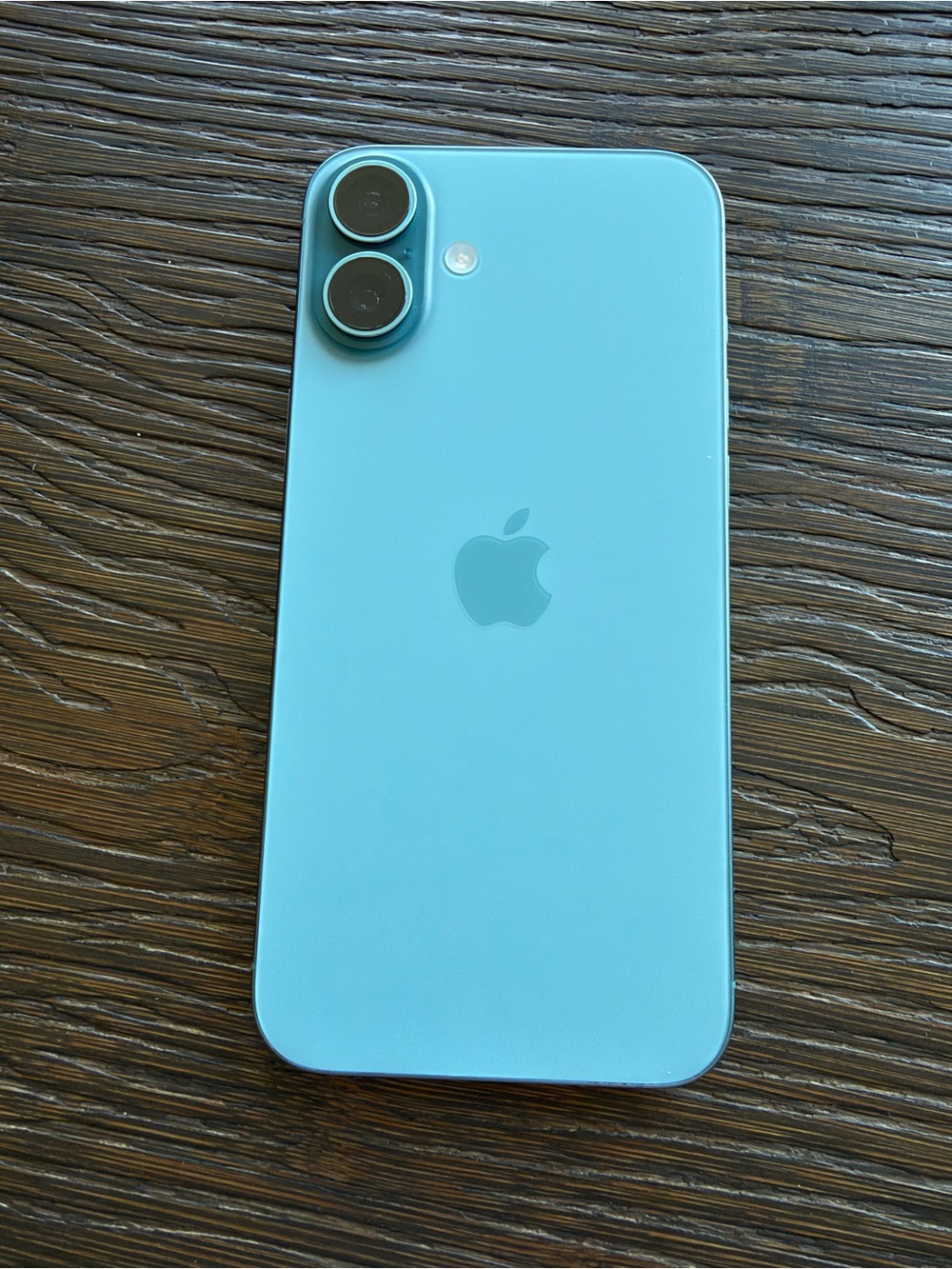 Apple iPhone 16 Plus Light Blue Dual-Camera Back 128 GB